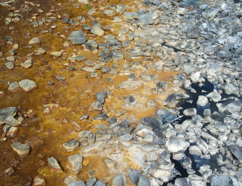 View of a variety of biogeochemical processes taking place at different pH conditions as two different water sources meet.